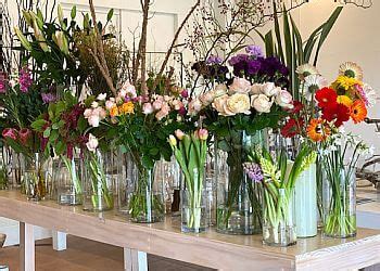 best florists in cairns.